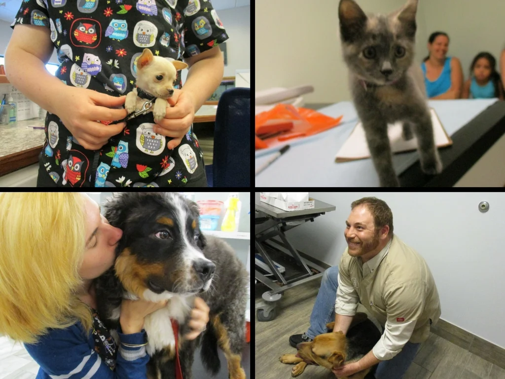The people and pets of CNY Veterinary