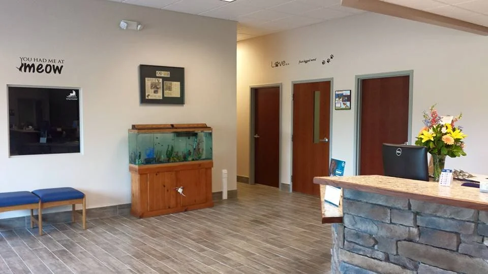 The waiting area