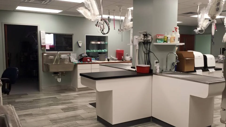 The treatment area