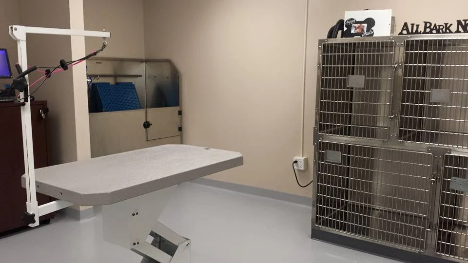 Treatment and patient care