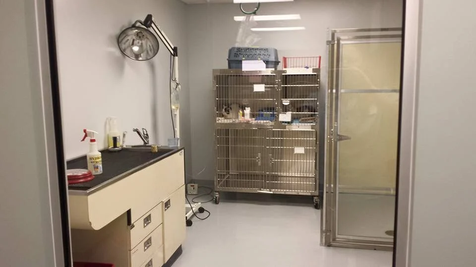 An inpatient care room