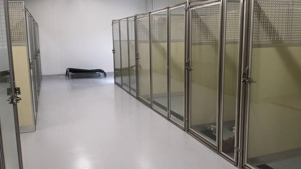 Dog boarding runs