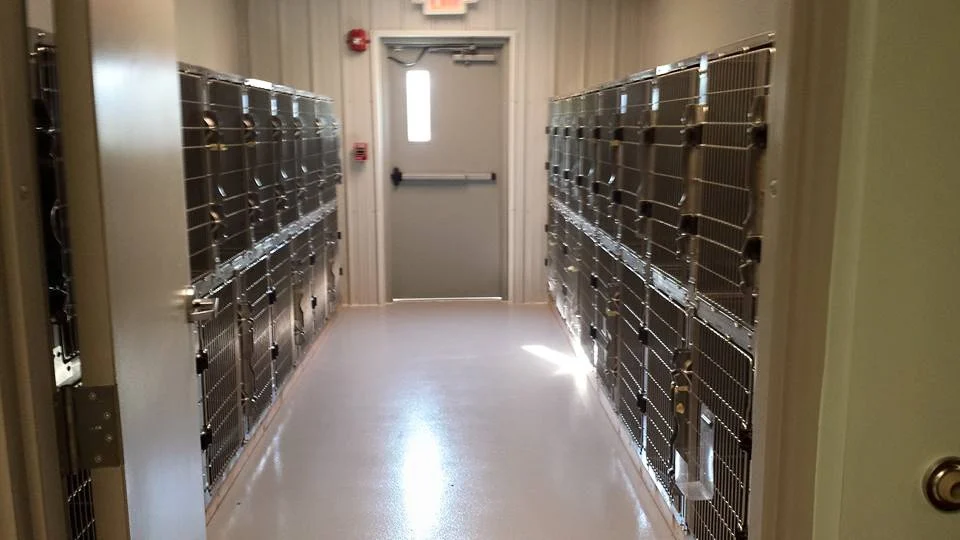 Boarding kennels