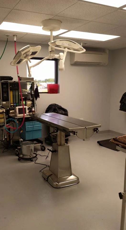 A procedure room